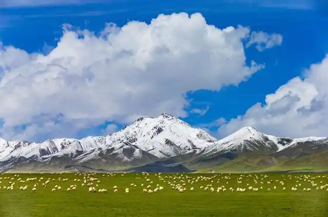 金银滩草原.国家文物局供图