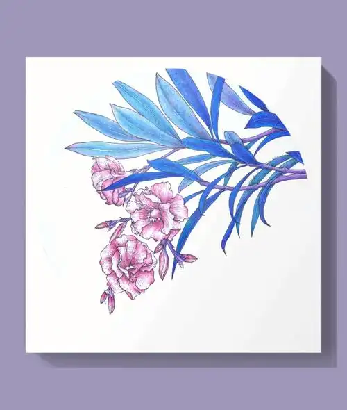 彩铅花卉夹竹桃附步骤