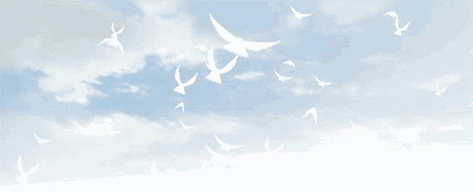 500_203gif 动态图 动图