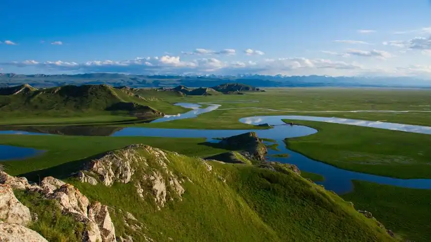 新疆美哭了世界,巴音布鲁克_草原
