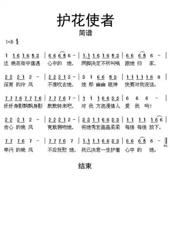 护花使者简谱乐谱