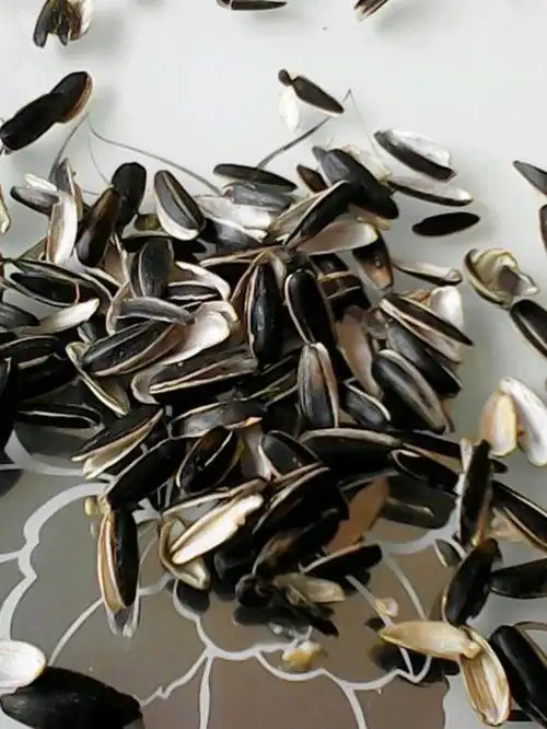 废物利用--瓜子壳