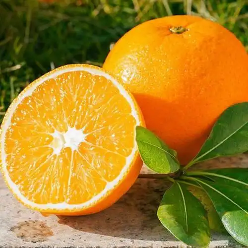 6月,少吃大鱼大肉,多吃这6种夏季应季水果,吃对了就是健康