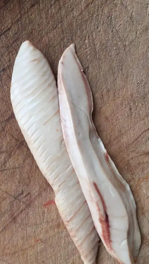 鱼肚子里面的这个东西是什么?