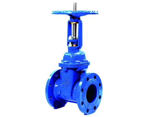 万宁法兰明杆闸阀