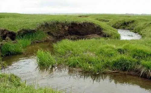 世界最窄河最窄处仅4厘米大鱼都要挤着过有一段居然往高处流