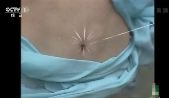 话说,男孩子们一定还记得蜘蛛精们的腹部特写吧,真心话,富贵至今都