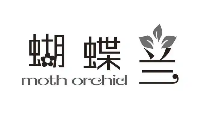 em>蝴蝶兰 /em>  em>moth /em>  em>orchid /em>