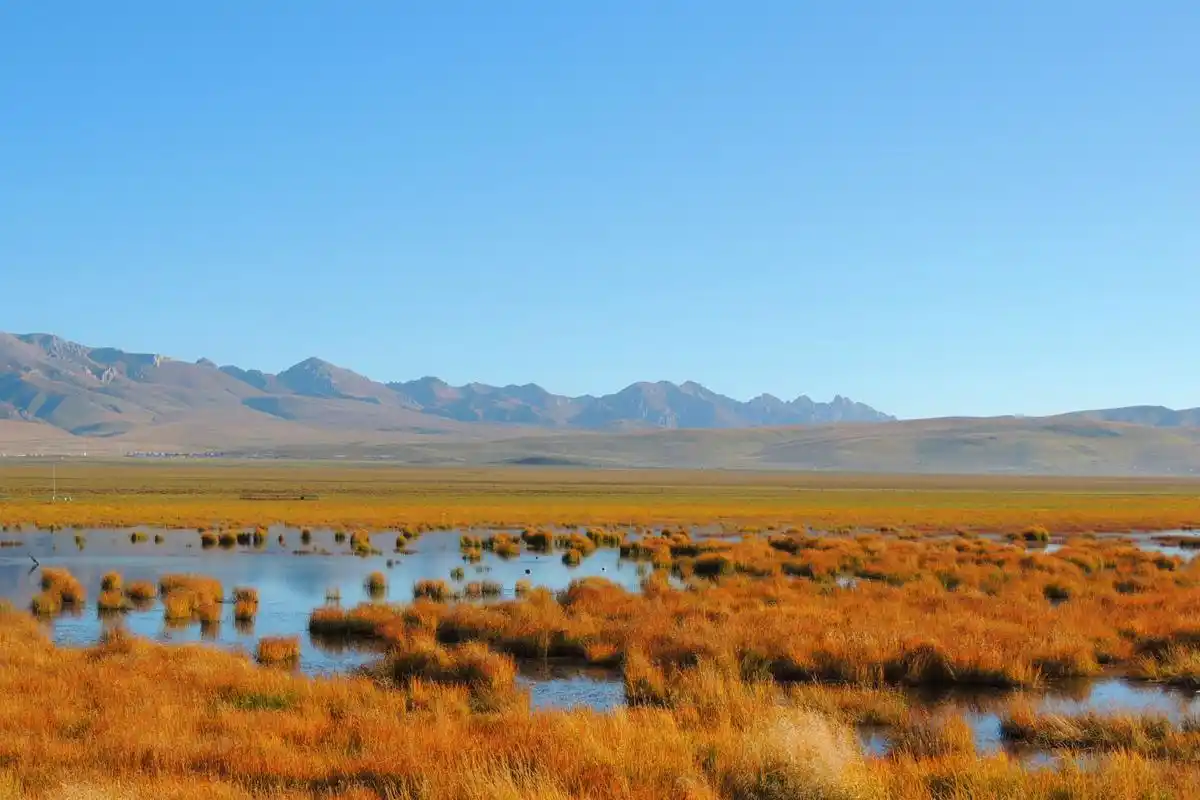 花湖——若尔盖大草原一碧万顷,梦幻花湖烟波浩渺.