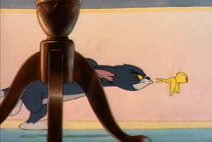 猫和老鼠汤姆美国动画小鸟飞起搞笑gif动图_动态图_表情包下载_soogif