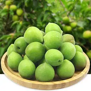 【青梅果新鲜现摘图片】青梅果新鲜现摘图片大全_q友网