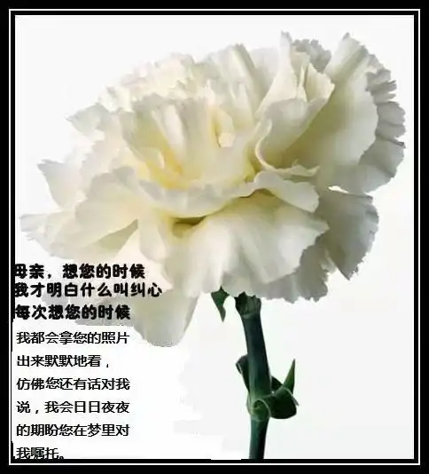 贵;想念妈妈,2019年农历10月9日晚上9点10分妈妈永远离开我而去了