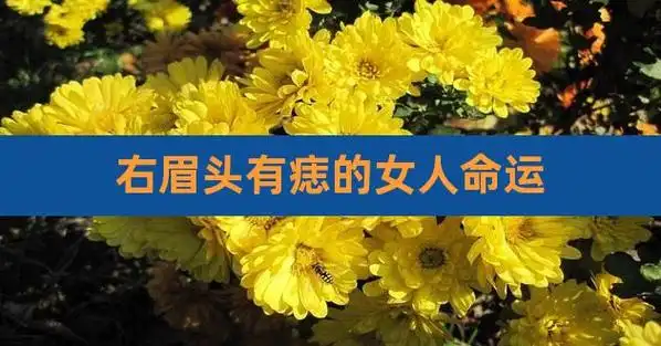 右眉头有痣的女人命运