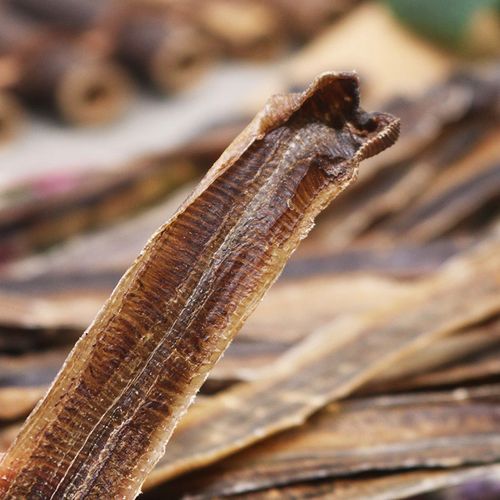 地龙广西正品中药材蚯蚓250g克白全开龙干无泥其他药食同源食品