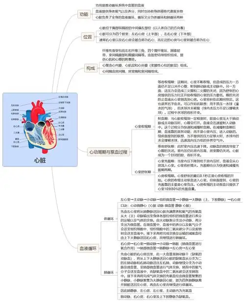 康复职考笔记心脏思维导图