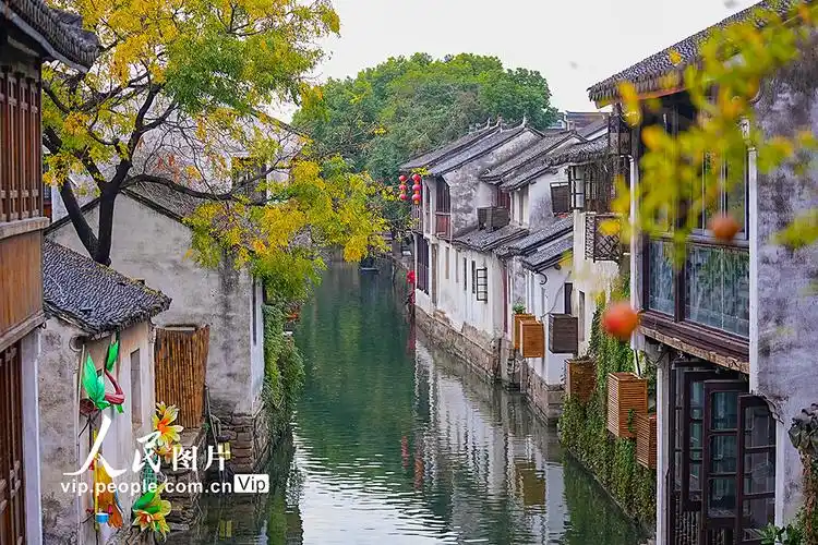 周庄古镇初冬秋景美如画