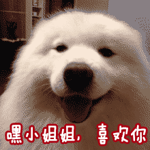 喜欢小姐姐喜欢你gif动图_动态图_表情包下载_soogif