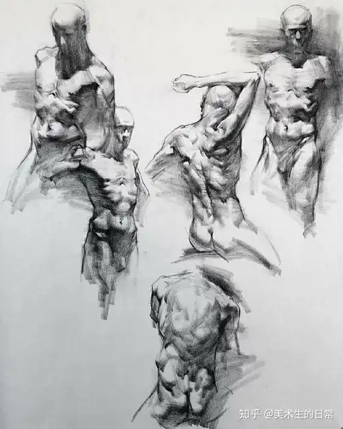 欣赏几组人体素描对学习人体动态特别有帮助,多去观察身边的人物动态