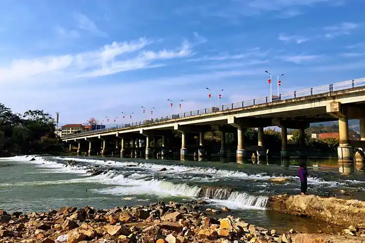 探秘云南雀鸟王国之《盈江篇》