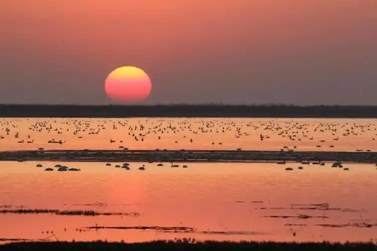国际重要湿地江西鄱阳湖南矶国际重要湿地季节性内陆三角洲