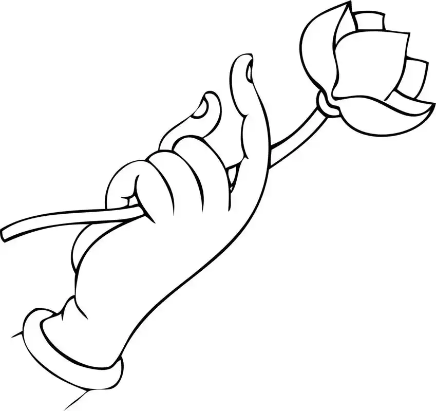 佛手白描·线描素材·国画专业参考资料底稿