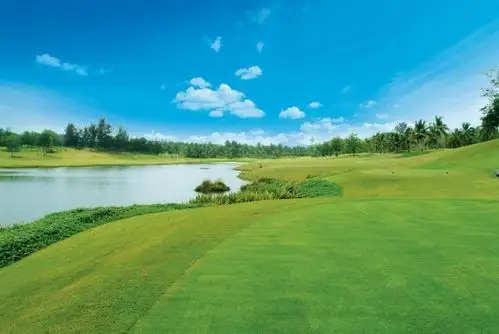 高尔夫球场景色图片