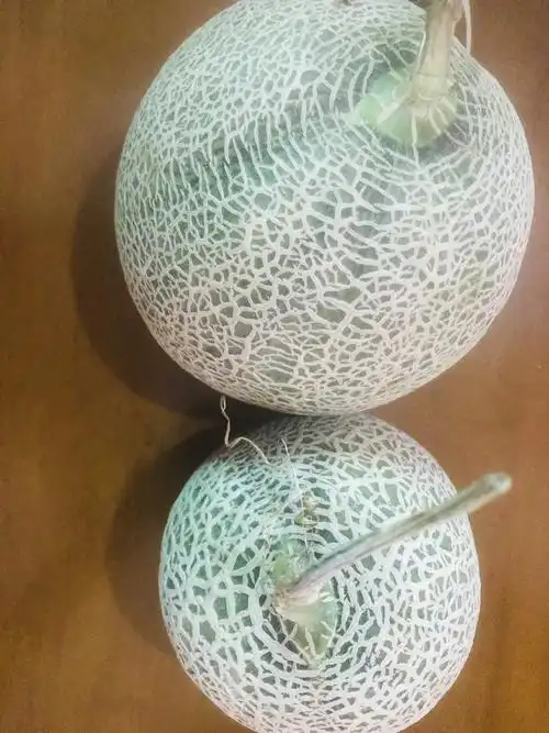 冠町 网纹蜜瓜 玲珑甜瓜当季新鲜水果 苏宁直采 带箱3斤晒单图
