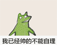 我已经帅的不能自理 - 青蛙甩头甩手摇头晃脑 - 斗图表情包 - 斗图