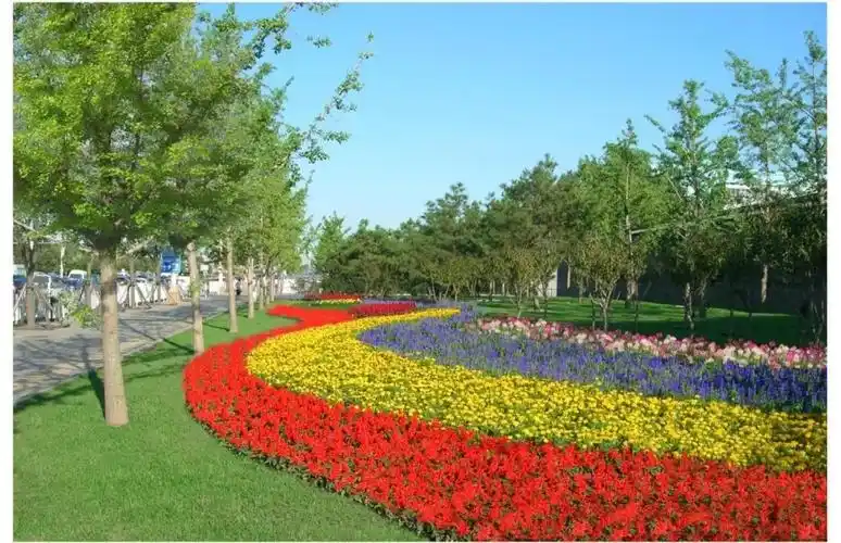 2018国庆天安门广场花卉布置方案出炉