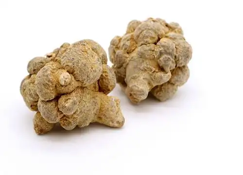 我们父母的健康需要三七来守护