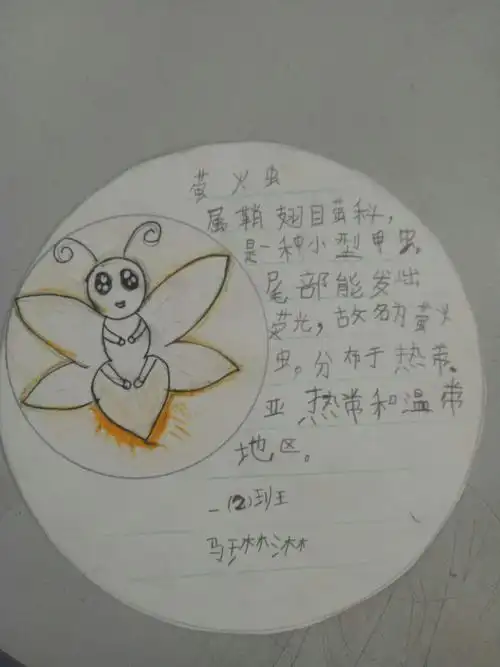 昆虫记——东门里小学一(2)班知识卡片集