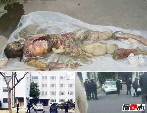 深思盘点各地男生失踪事件上海嘉定失踪男生尸体高度腐败
