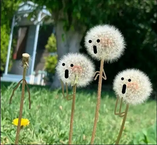 搞笑图片(加字幕)