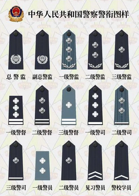 "九九"式警衔标志图(银灰色为专业技术警衔,就是技术衔)