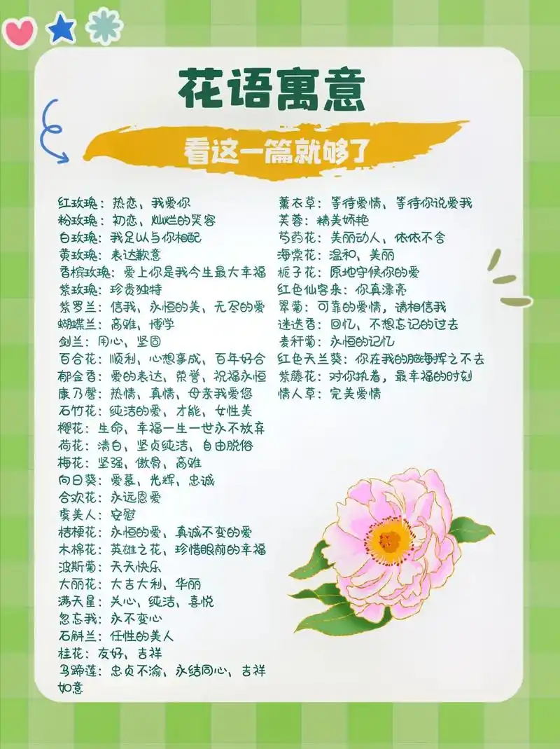 花束花语寓意你知道吗?开花店必备花语大全,花艺师人手一份,也 - 抖音