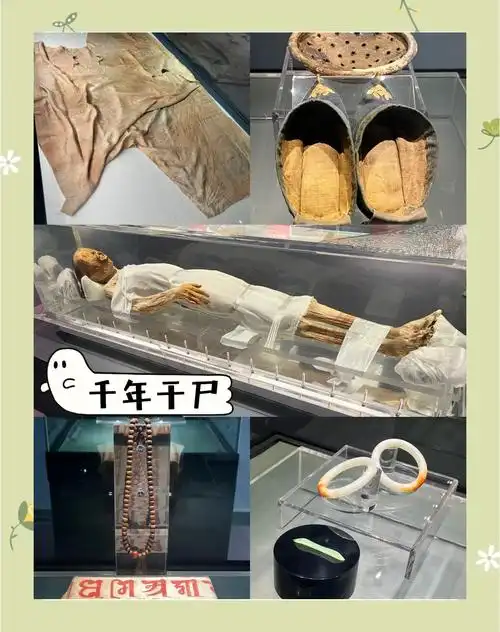 探秘千年干尸:荆州博物馆的神秘之旅
