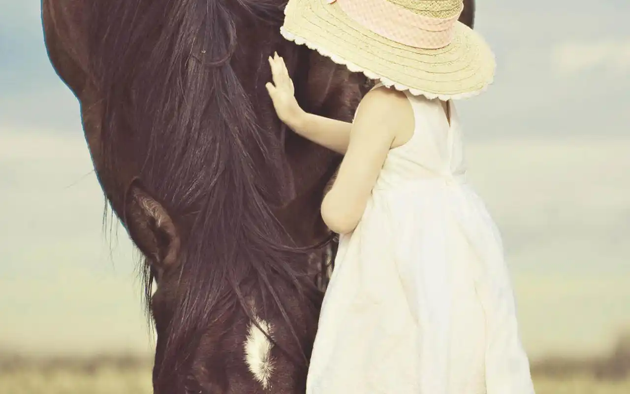 戴帽子女孩的唯美背影图片桌面壁纸