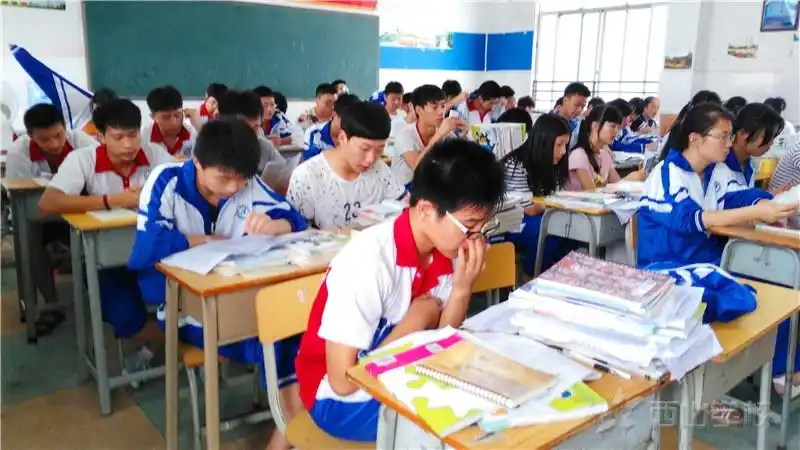 何洪燕 施嘉乐 钟宇新 徐婷 魏娇等同学在认真上课