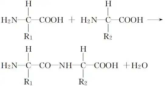 (2)通过比较图中两种氨基酸,写出氨基酸的结构通式:ch2nrco