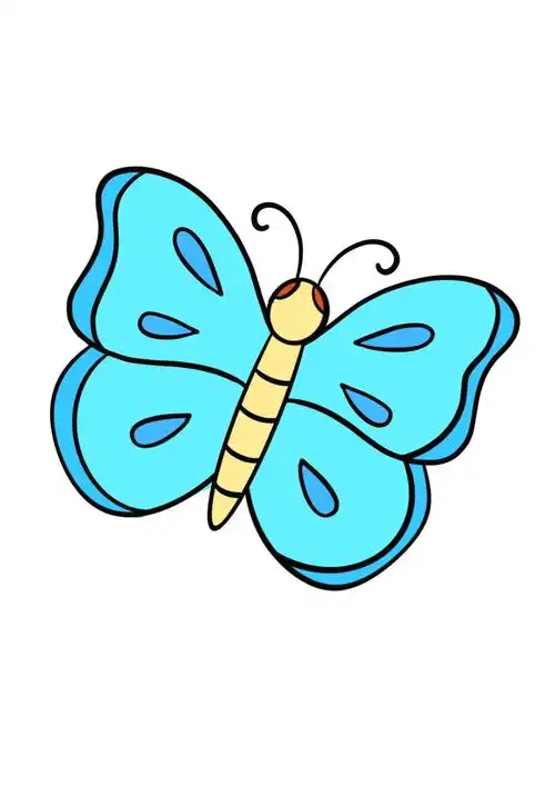 简笔画教程分享 蝴蝶