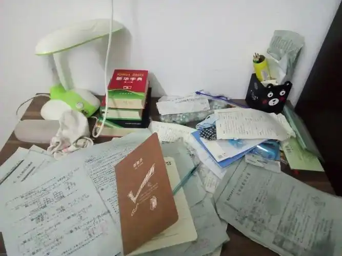 "除旧迎新 青春飞扬"茂名一中实验学校初一四班王楚翘家政作业