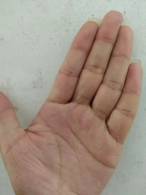 有学手相的师父吗.这个是食指上是三豹纹吗