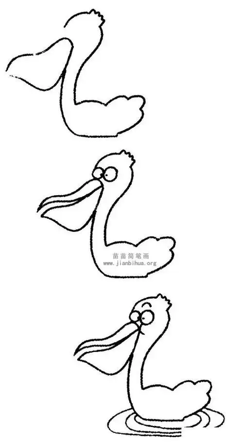 水鸟可爱简笔画