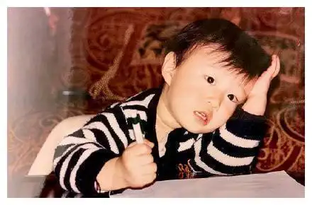 范丞丞童年照曝光,留蘑菇头呆萌可爱颜值,不及姐姐范冰冰