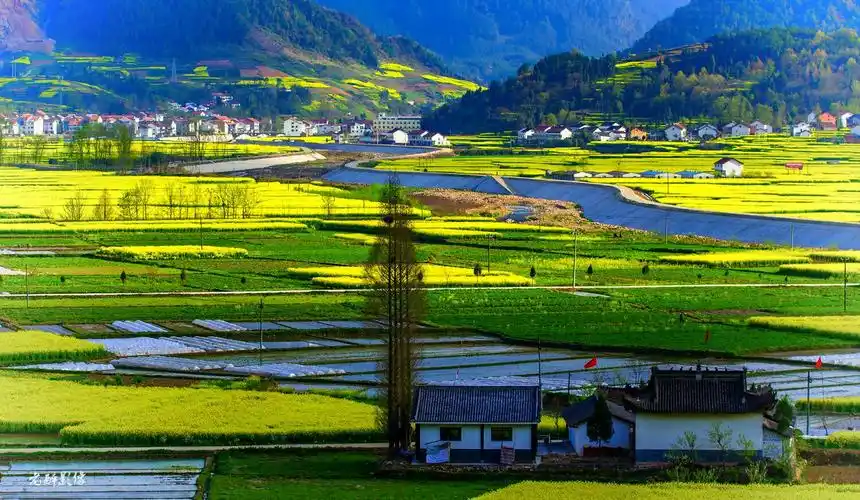 春天的记忆一一汉中风光