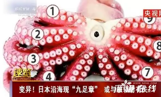 日本沿海现九足章或与核辐射相关