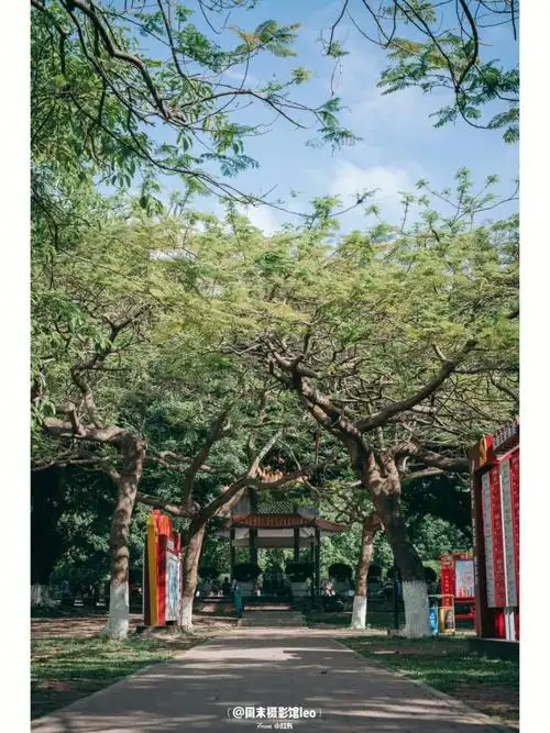 开平拍照祥龙公园74