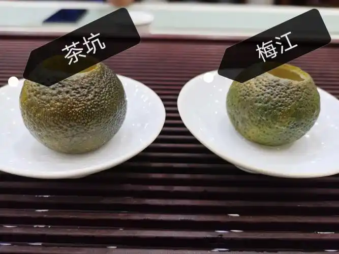 这个小青柑你绝对没喝过