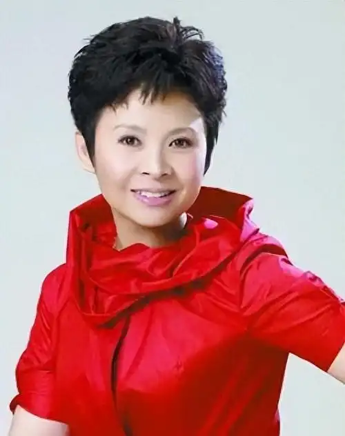 看点:赖董二人关系如何?董文华为何在巅峰期退圈?