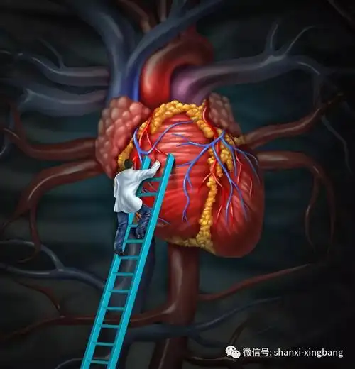 但它又是最容易"受伤"的器官,冠心病,心功能不全,心律失常等心脏疾病